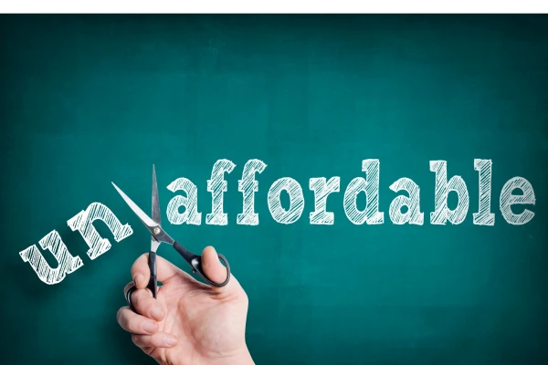 Cost-Effective, Customizable, and Ready for Bulk Orders